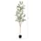 6ft. Potted Artificial Olive Tree with Natural Trunk